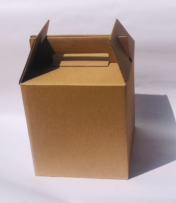 Caja Maleta Escolar Bca-accesorios