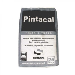 Pinta Cal Bolsa 5kg