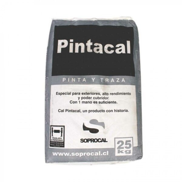 Pinta Cal Bolsa 5kg