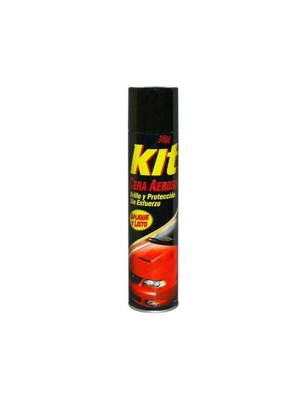 Cera Spray Vehiculo 360cc Kit