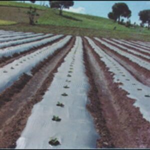Nylon Frutilla 70cm x 1.40 mt Extendido  (mulch Bicolor)