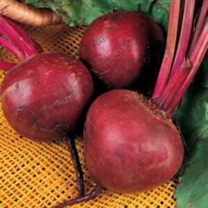 Semilla Betarraga Detroit Dark R. (100gr)